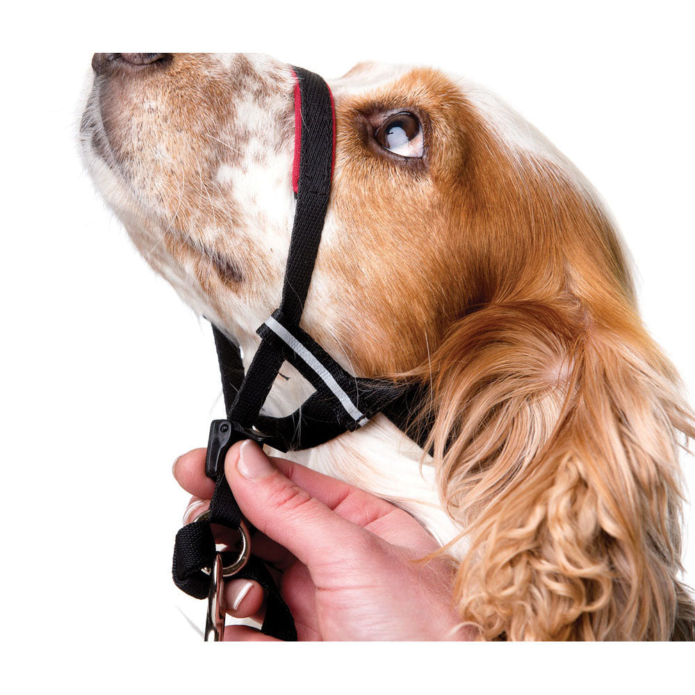 Halti - Licol de Dressage OptiFit - Accessoire de Dressage pour Chiens