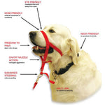 Voir l’image dans la galerie, Halti - Licol de Dressage - Accessoire de Dressage pour Chiens