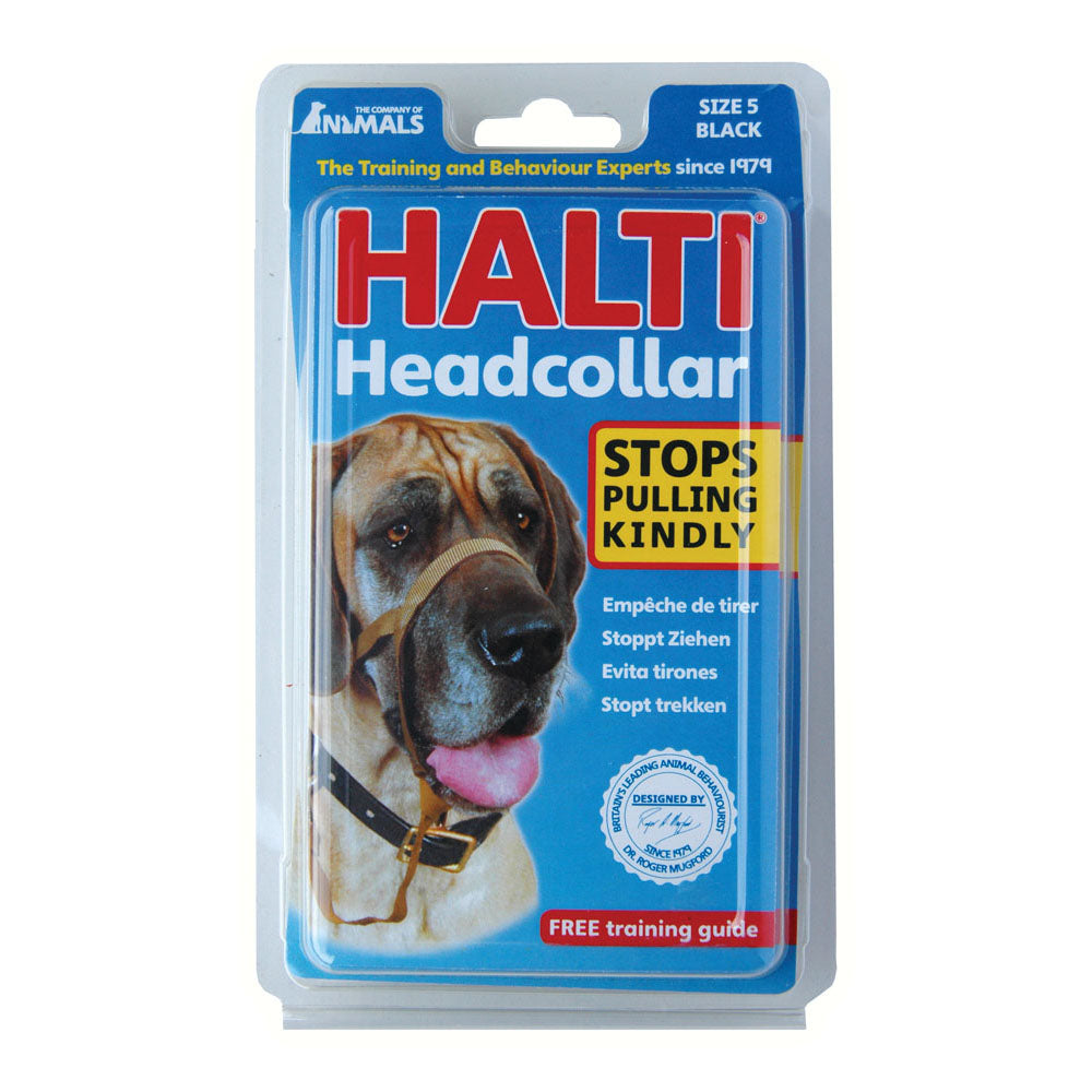Halti - Licol de Dressage - Accessoire de Dressage pour Chiens