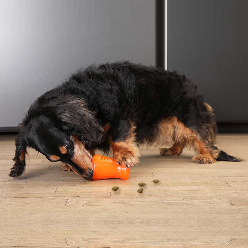Bionic - Shaker à Gâteries - Jouet Interactif pour Chiens