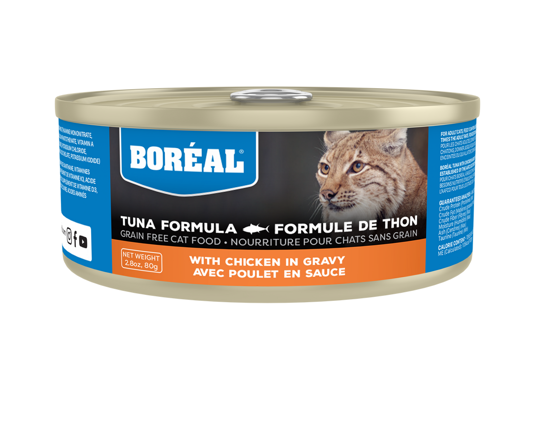 Boréal - Chat Thon avec Poulet en Sauce - Nourriture Humide Sans Grains pour Chats