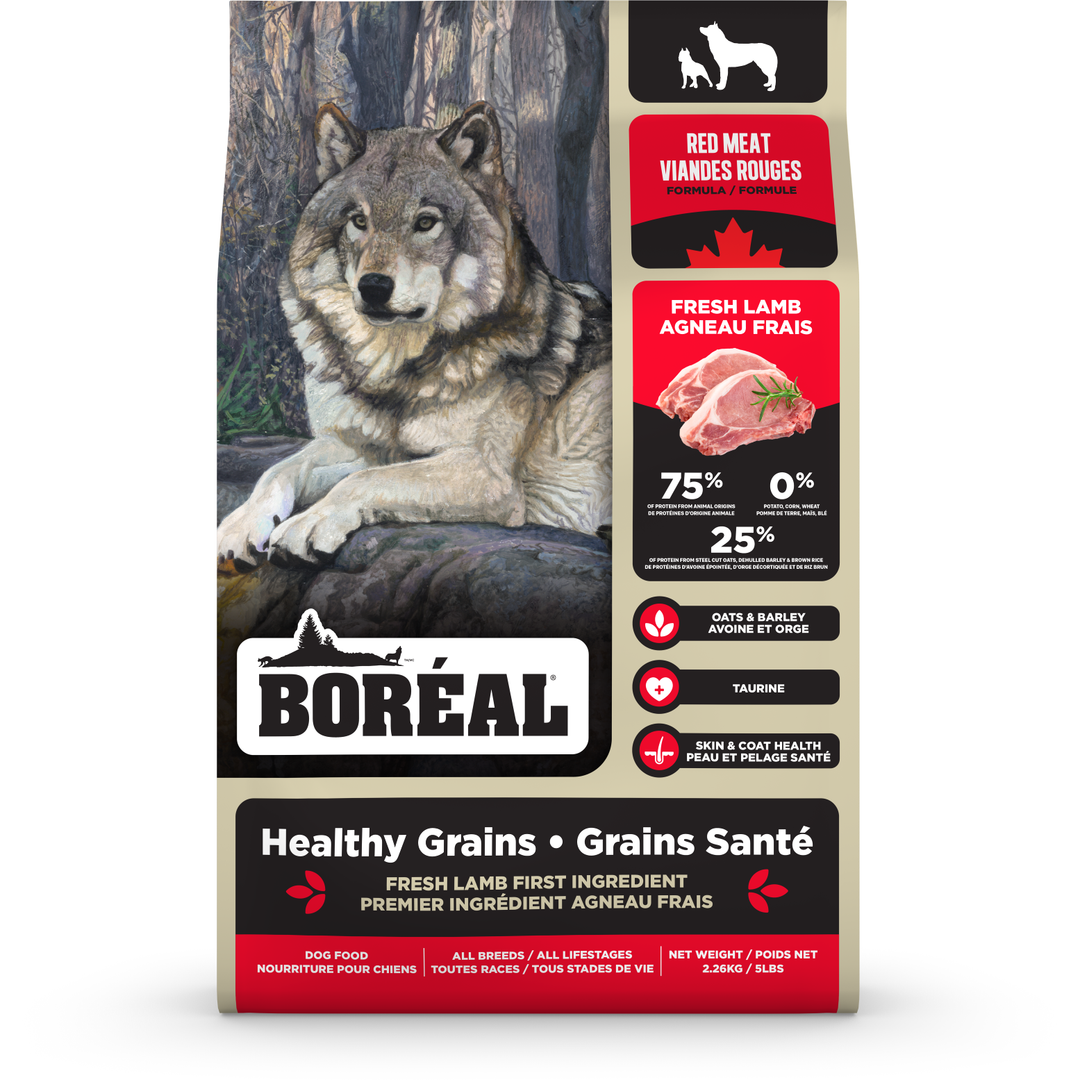 Boréal Grains Santé - Viandes Rouges - Nourriture Sèche pour Chiens