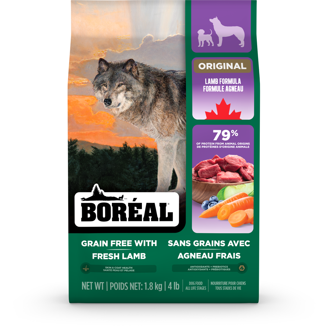 Boréal Original Sans Grains - Agneau - Nourriture Sèche pour Chiens