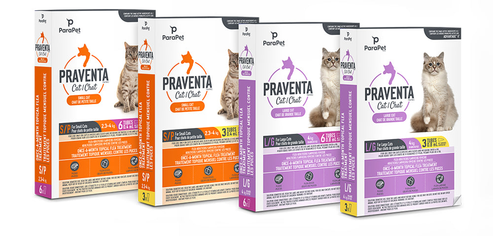 K9 Praventa 360 - Parapet Antipuces Topique - Traitement Antipuces pour Chats