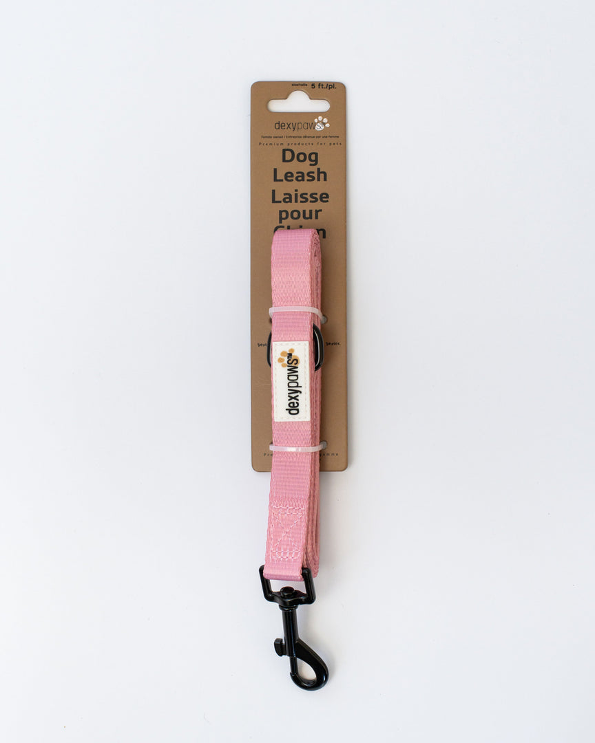 Dexypaws - Laisse en Polyester - Laisse pour Chiens