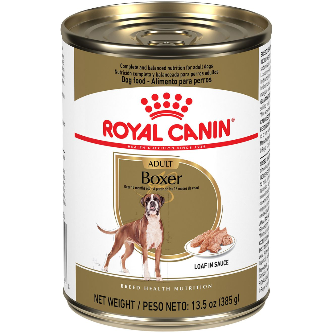 Royal Canin - Boxer Pâté en Sauce - Nourriture Humide pour Chiens