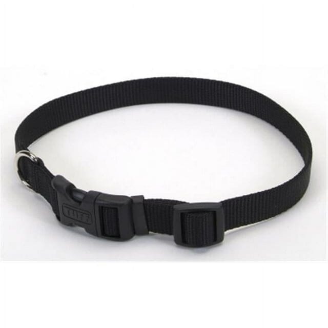 COASTAL Collier Nylon 3/8x8-12 Noir