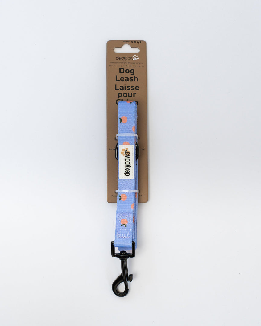 Dexypaws - Laisse en Polyester - Laisse pour Chiens