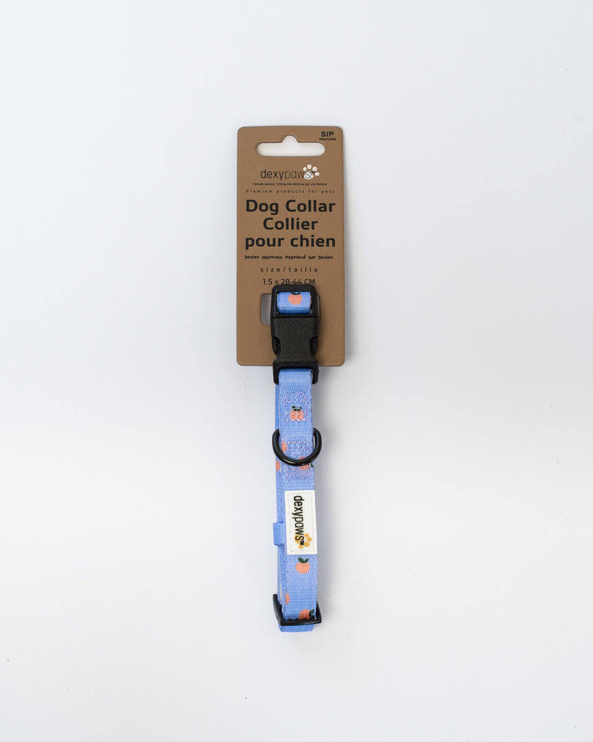 Dexypaws - Collier en Polyester Rembourré - Collier pour Chiens