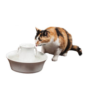 Petsafe - Drinkwell Fontaine Avalon en Porcelaine - Fontaine pour Chiens et Chats