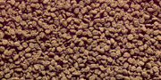 HIKARI Nourriture Discus Bio-Gold 2.2lb