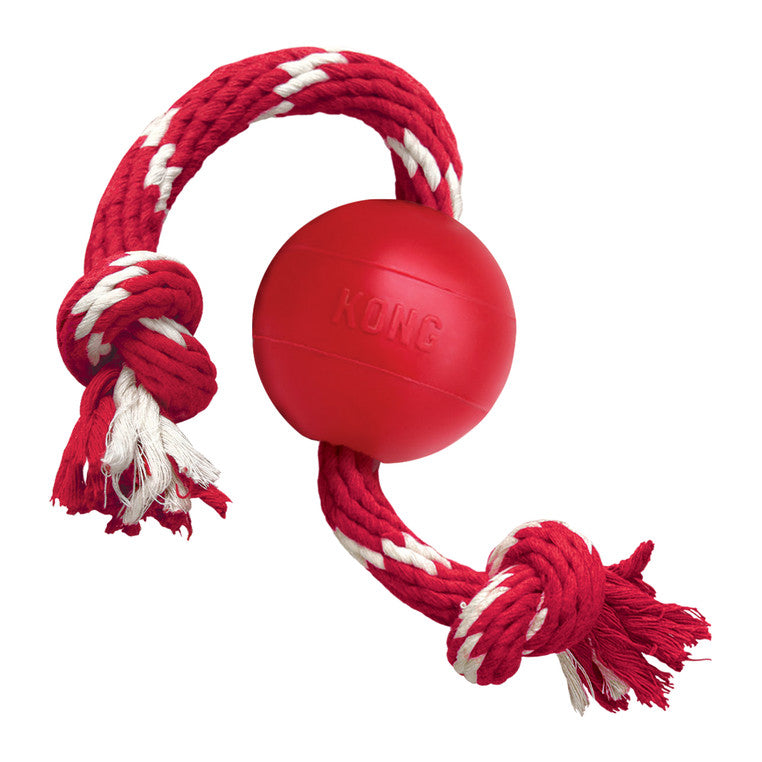 Kong - Balle avec Corde - Jouet pour Chiens