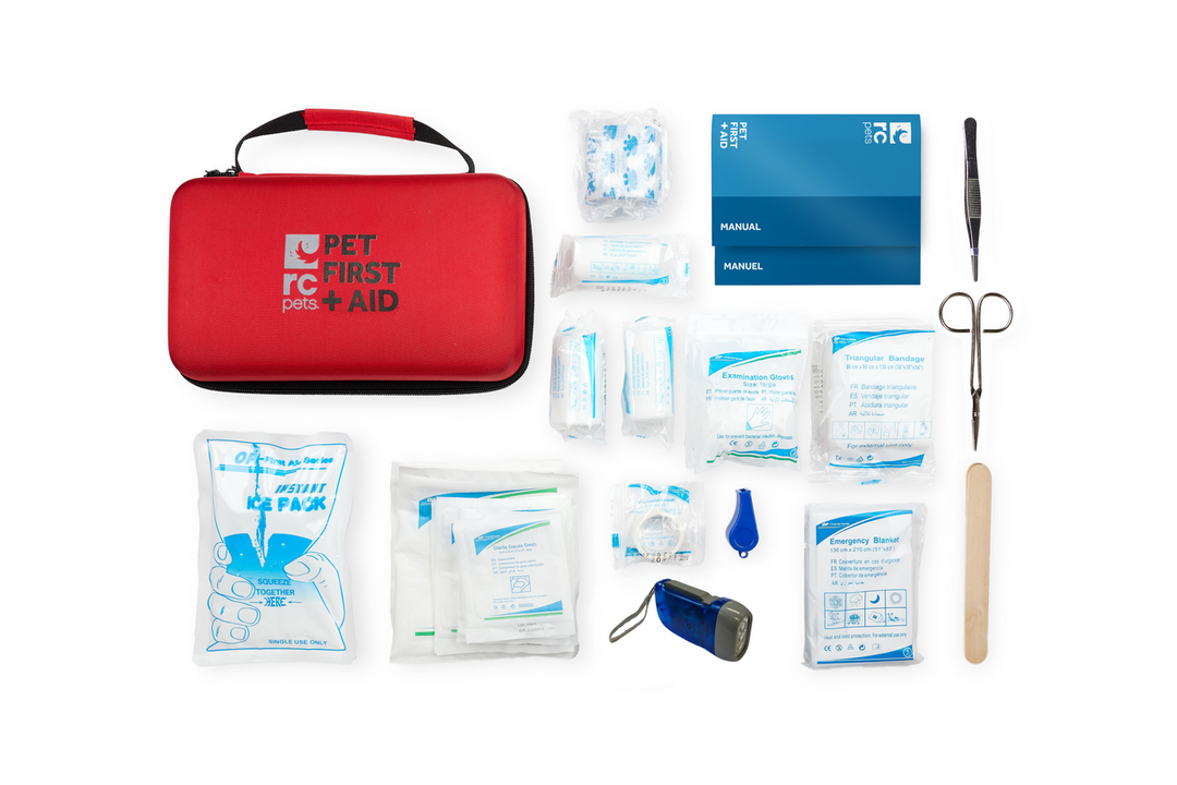 RCP Trousse de Premiers Soins