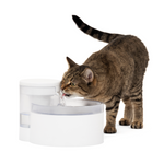 Voir l’image dans la galerie, Petsafe - Outlast Fontaine Sans Pompe - Fontaine pour Chiens et Chats