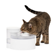 Petsafe - Outlast Fontaine Sans Pompe - Fontaine pour Chiens et Chats