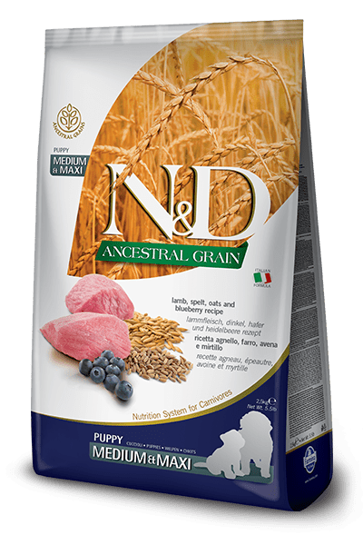 Farmina N&D Grains Ancestraux - Agneau, Épeautre, Avoine et Myrtille - Nourriture Sèche pour Chiots Moyennes et Grandes Races
