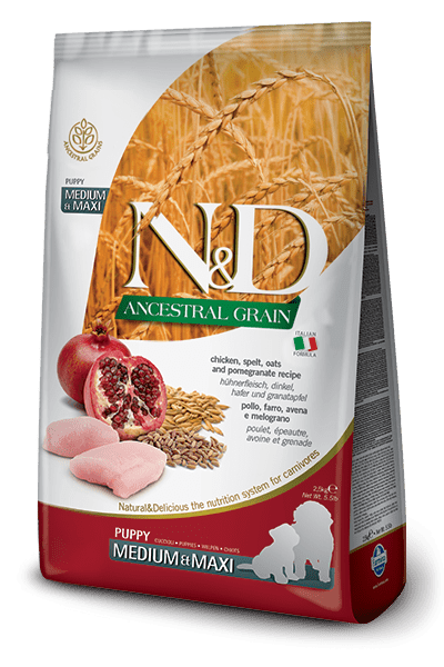 Farmina N&D Grains Ancestraux - Poulet, Épeautre, Avoine et Grenade - Nourriture Sèche pour Chiots Moyennes et Grandes Races
