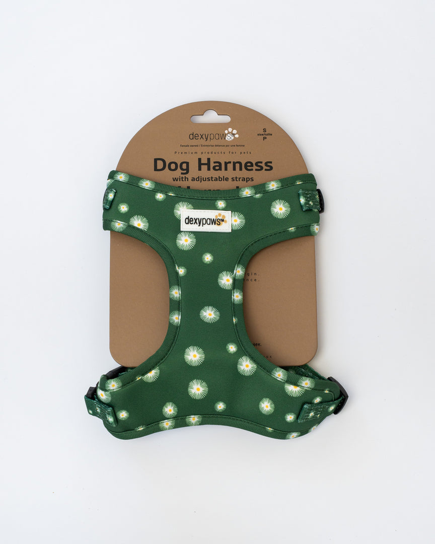 Dexypaws - Harnais en Néoprène - Harnais pour Chiens