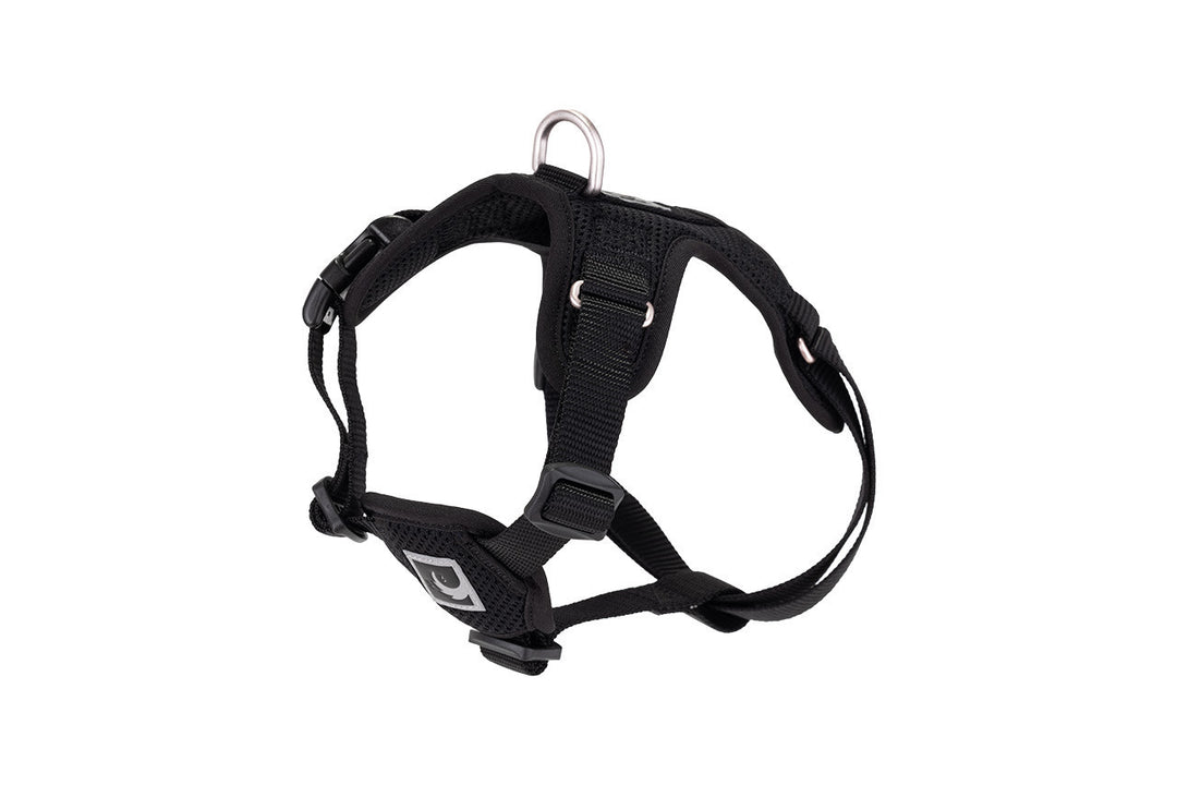 RC Pets - Harnais à Enfiler Forte Noir - Harnais pour Chiens