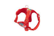 RCP Harnais Step-In Forte S Multi Rayures