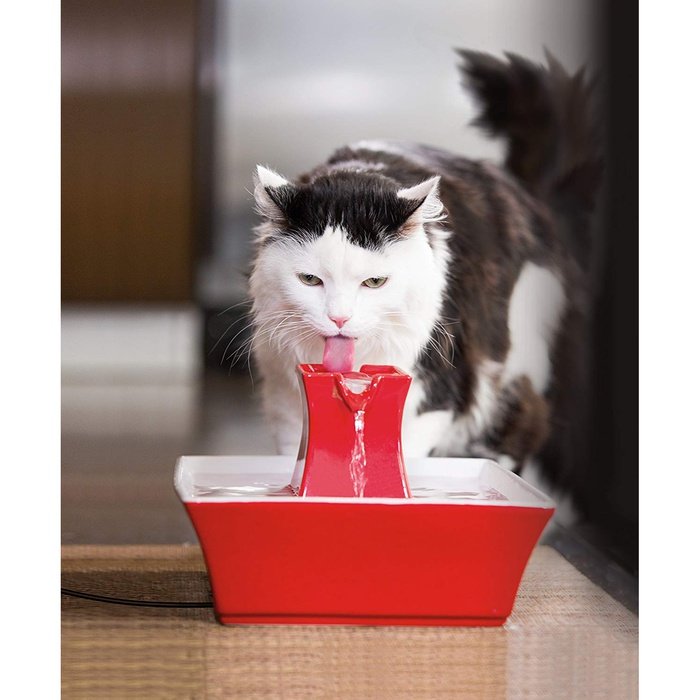 Petsafe - Drinkwell Fontaine Pagoda en Porcelaine - Fontaine pour Chiens et Chats