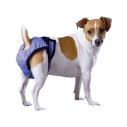 POOCHPAD PoochPants 1-4lb XXS Gris