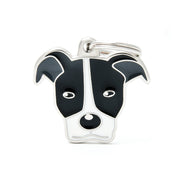 MFC Friends Pitbull Noir & Blanc