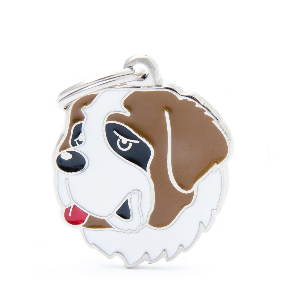 MFC Friends Saint-Bernard