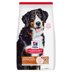 Voir l’image dans la galerie, Hill's Science Diet - Agneau et Riz Brun - Nourriture Sèche pour Chiens de Grandes Races