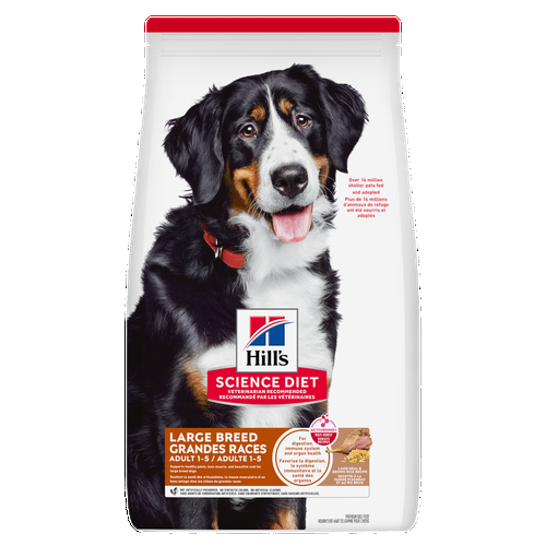 Hill's Science Diet - Agneau et Riz Brun - Nourriture Sèche pour Chiens de Grandes Races