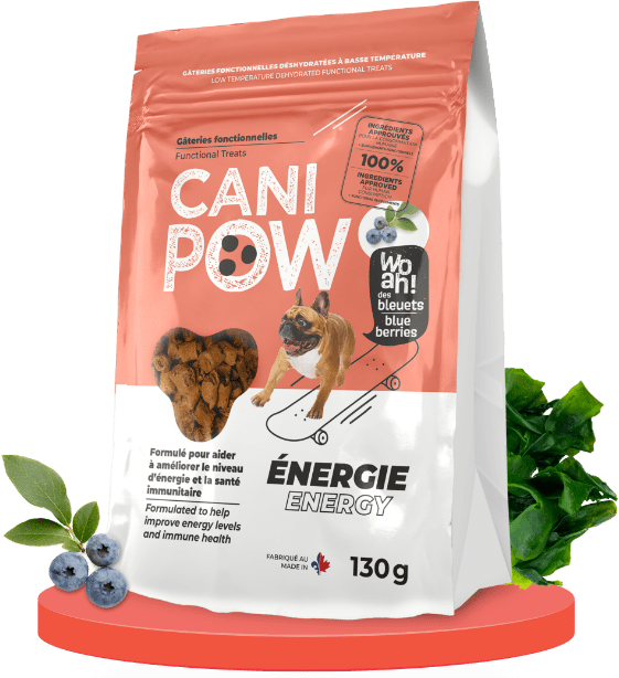 Canisource Cani-Pow - Énergie - Gâteries Fonctionnelles Déshydratées pour Chiens