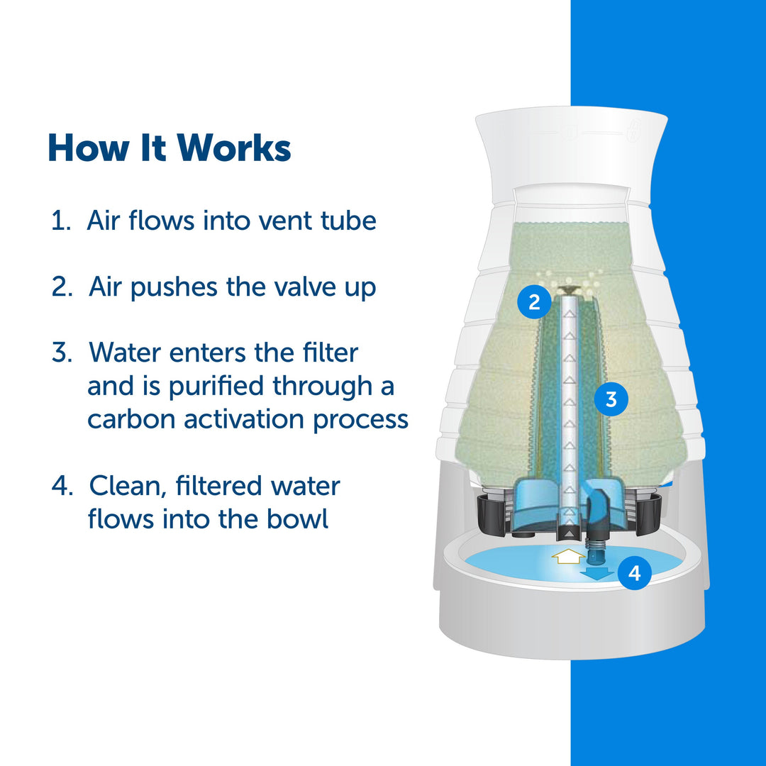 Petsafe - Healthy Pet Filtres pour Station d'Eau - Accessoire d'Abreuvoir pour Chiens et Chats