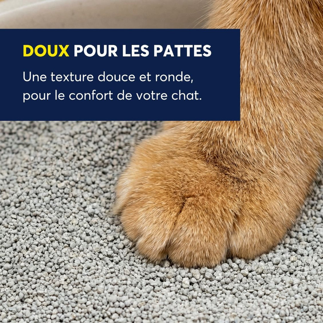 Intersand OdourLock - Parfum Délicat - Litière Légère Agglomérante pour Chats