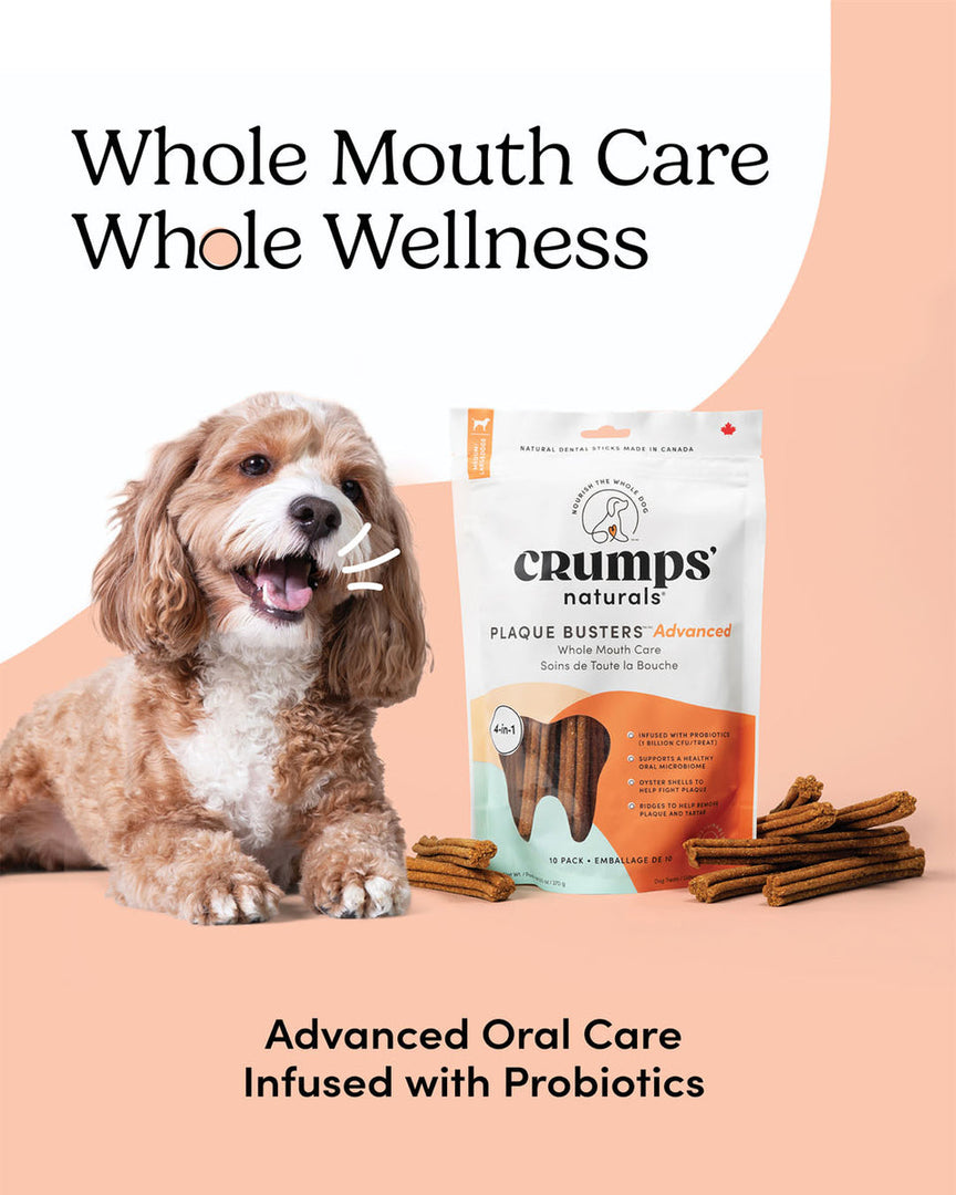 Crumps' Naturals Plaque Busters Advanced - Bâtonettes Dentaires Soins de Toute la Bouche - Gâteries pour Chiens