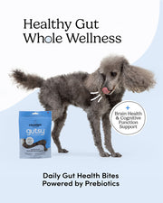 Crumps' Naturals Gutsy - Bouchées Revitalisantes - Gâteries pour Chiens