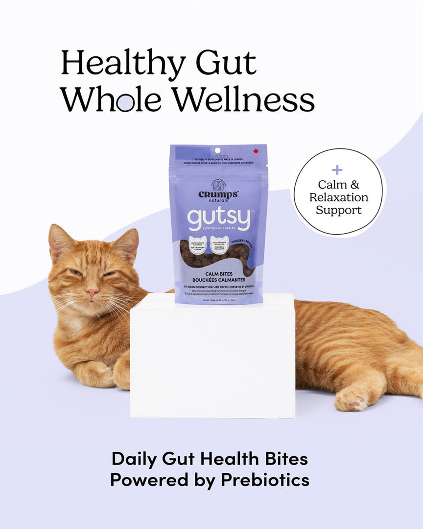 Crumps' Naturals Gutsy - Bouchées Calmantes - Gâteries Tendres pour Chats