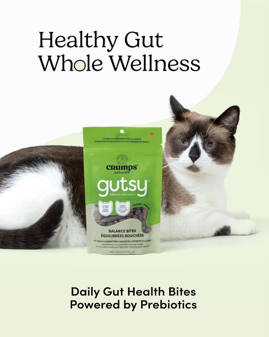 Crumps' Naturals Gutsy - Bouchées Équilibrées - Gâteries Tendres pour Chats