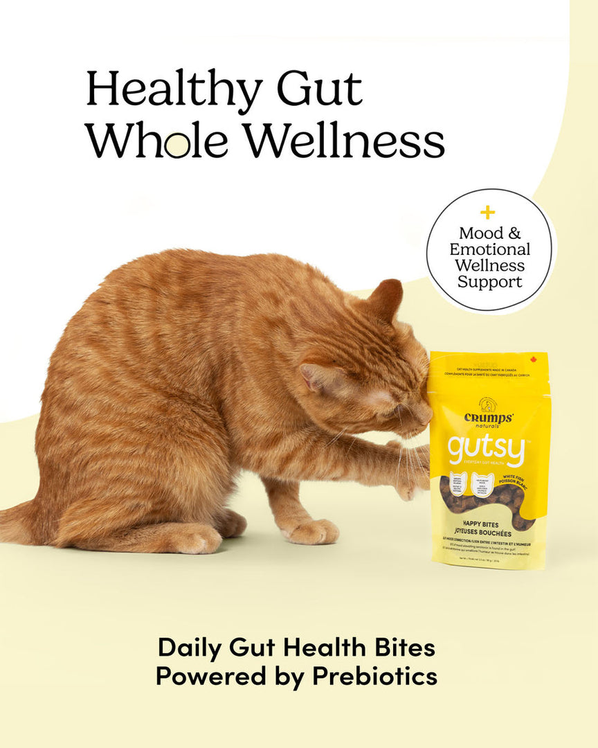 Crumps' Naturals Gutsy - Joyeuses Bouchées - Gâteries Tendres pour Chats