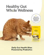 Crumps' Naturals Gutsy - Joyeuses Bouchées - Gâteries Tendres pour Chats