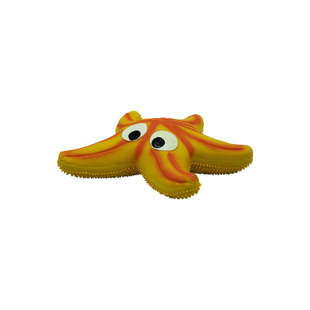 BüD'z - Jouet Étoile de Mer en Latex avec Couineur pour Chiens, 15 cm