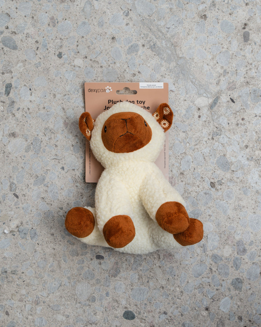 Dexypaws - Mouton en Peluche avec Couineur - Jouet pour Chiens