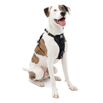 Voir l’image dans la galerie, Kurgo - Harnais Tru-Fit - Harnais de Voiture pour Chiens