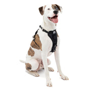 Kurgo - Harnais Tru-Fit - Harnais de Voiture pour Chiens