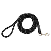 SHEDROW Camino Laisse Corde 6' Noir