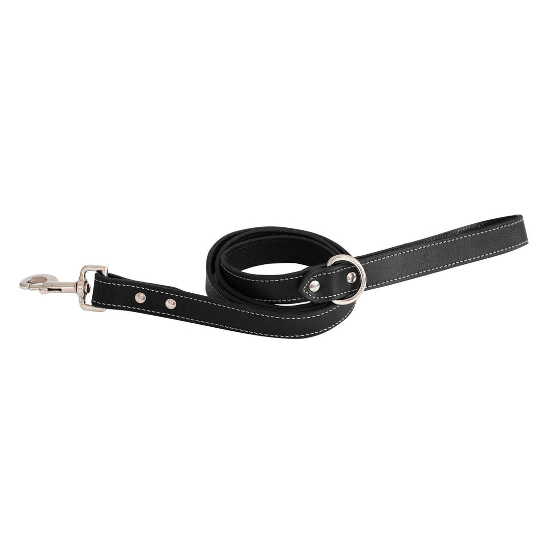 SHEDROW Richmond Laisse Noir S