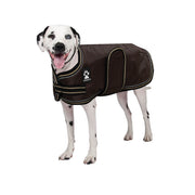 SHEDROW Tundra Manteau Java 3XL