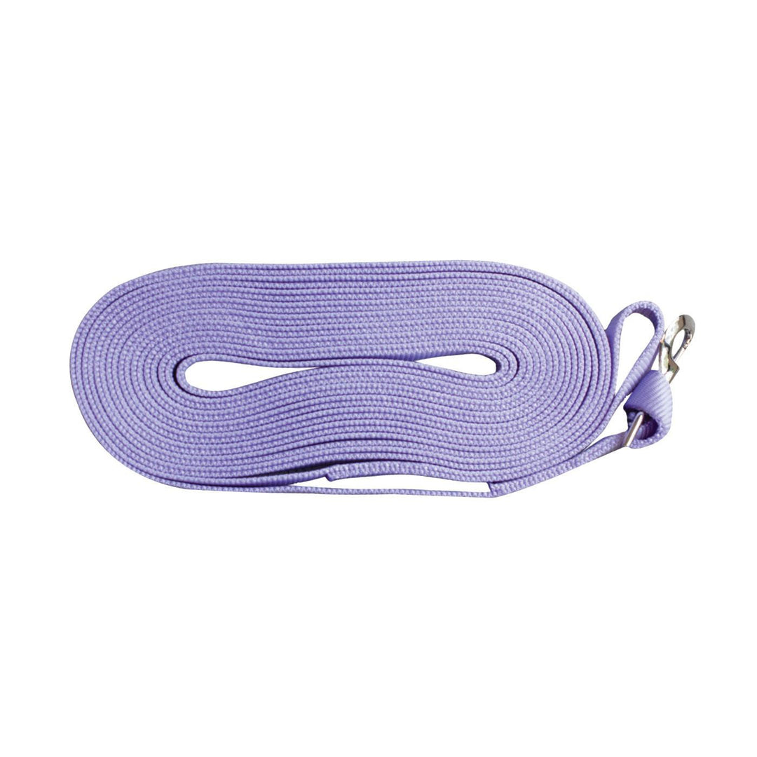 SHEDROW Laisse Longue 30' Mauve