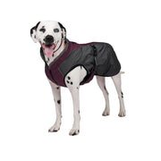 SHEDROW Chinook Manteau Vin & Gris L