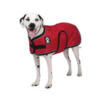 Voir l’image dans la galerie, SHEDROW Tundra Manteau Rouge M