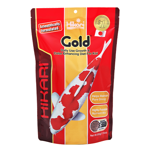 HIKARI Nourriture Gold Mini 17.6oz